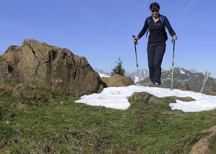 Bichlalm Berggasthof 基茨比厄尔