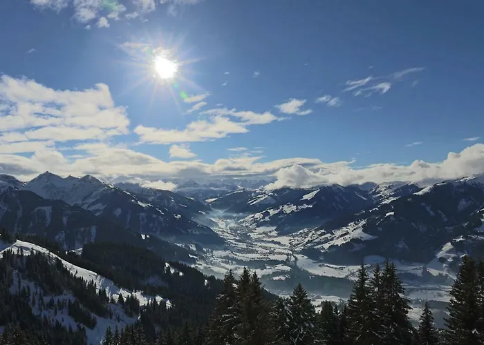 Bichlalm Berggasthof 酒店